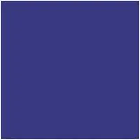 Pacific blue ( Plain )